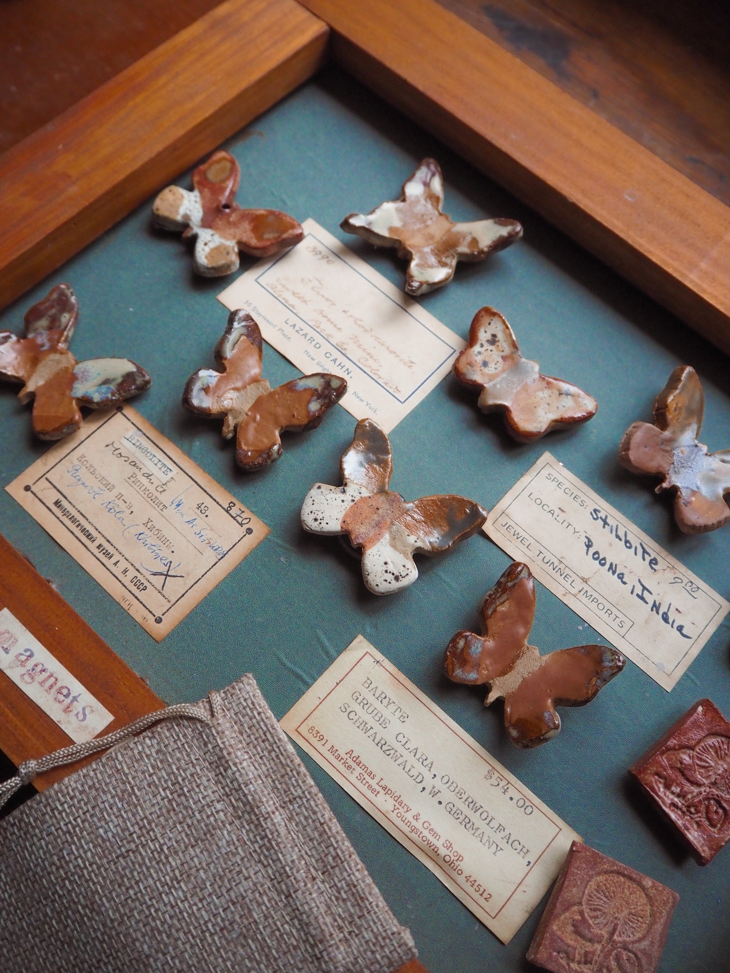 Woodland Butterfly Magnet Set